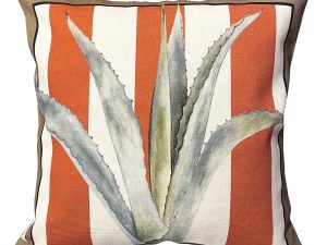 The Agave tangerine