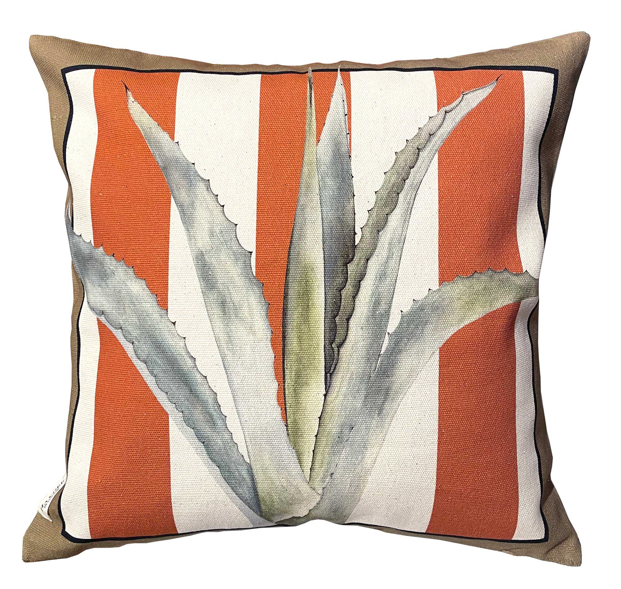 The Agave tangerine